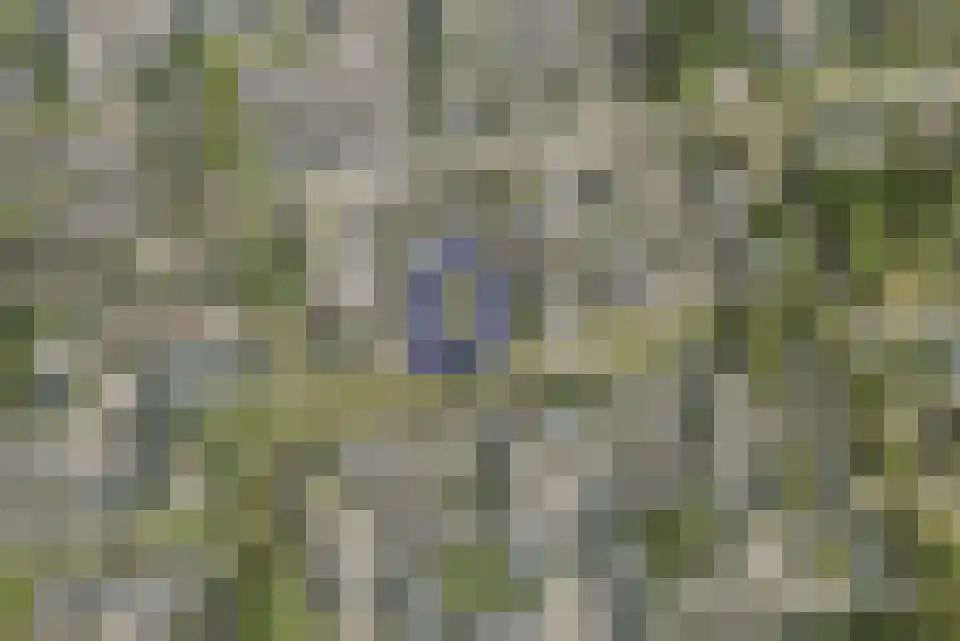 Lijsterbesgaard 42 Boxtel thumbnail 60