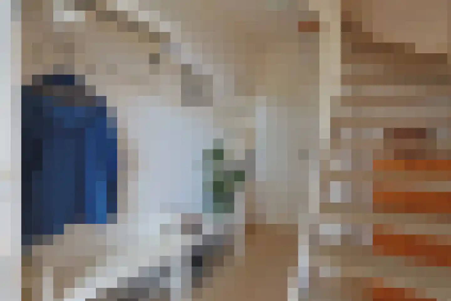 Lijsterbesgaard 42 Boxtel thumbnail 8
