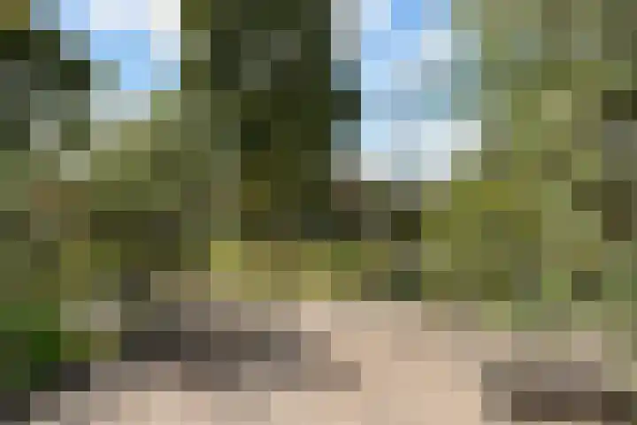 Lijsterbesgaard 54 Boxtel thumbnail 4