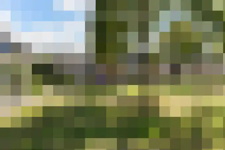 Lijsterbesgaard 54 Boxtel thumbnail 52