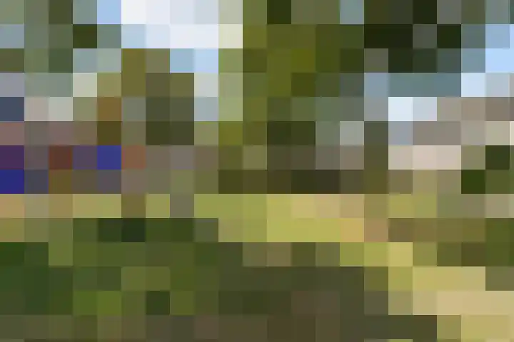 Lijsterbesgaard 54 Boxtel thumbnail 53