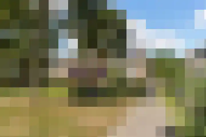 Lijsterbesgaard 54 Boxtel thumbnail 54