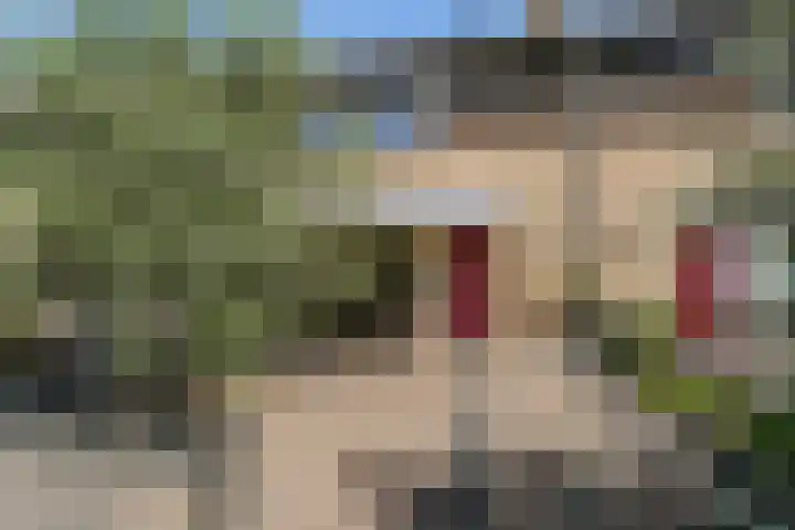 Lijsterbesgaard 54 Boxtel thumbnail 6