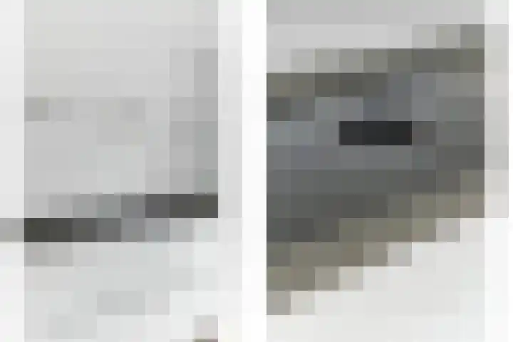 Lijsterbeshof 1 Papendrecht thumbnail 22