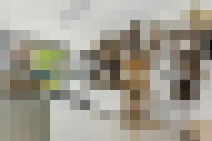 Lijsterbeshof 1 Papendrecht thumbnail 27