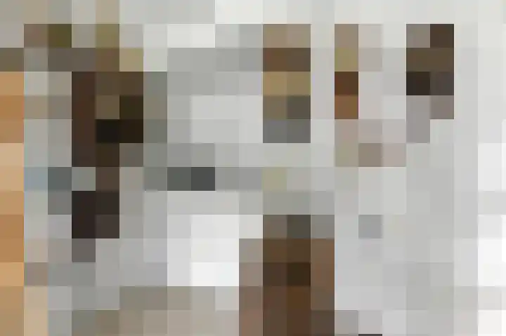 Lijsterbeshof 1 Papendrecht thumbnail 30