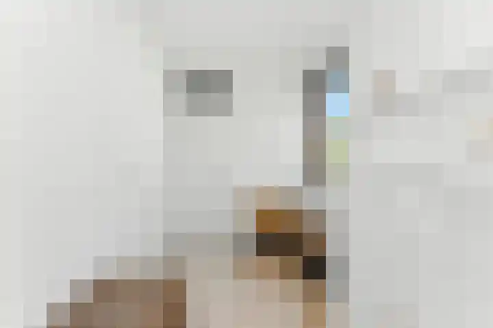 Lijsterbeshof 1 Papendrecht thumbnail 33