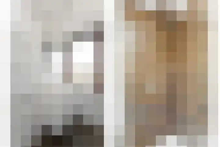 Lijsterbeshof 1 Papendrecht thumbnail 40