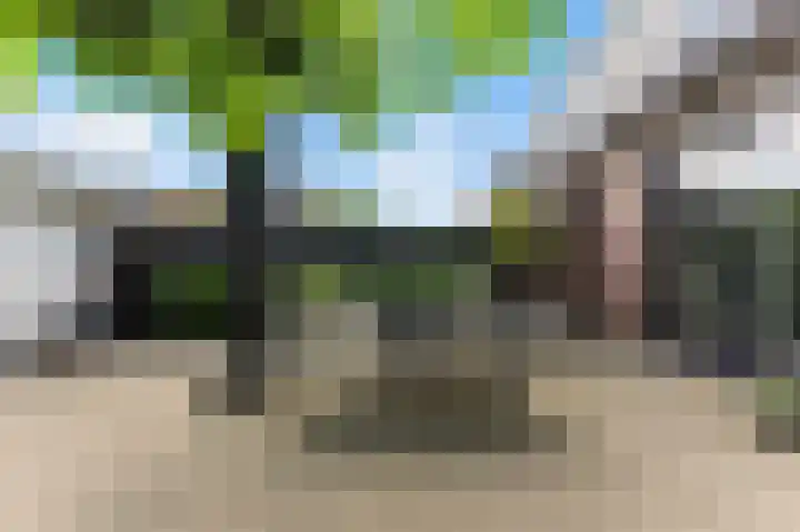 Lijsterbeshof 1 Papendrecht thumbnail 47