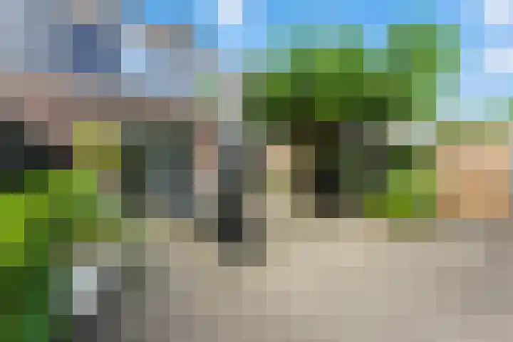 Lijsterbeshof 1 Papendrecht thumbnail 48