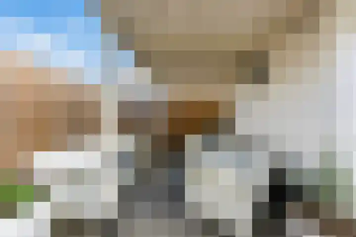 Lijsterbeshof 1 Papendrecht thumbnail 50