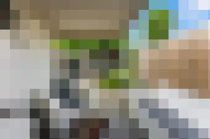 Lijsterbeshof 1 Papendrecht thumbnail 51
