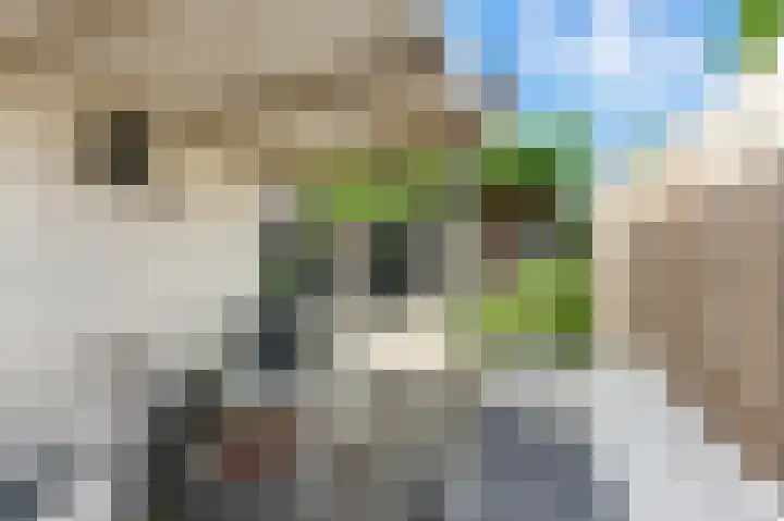 Lijsterbeshof 1 Papendrecht thumbnail 52