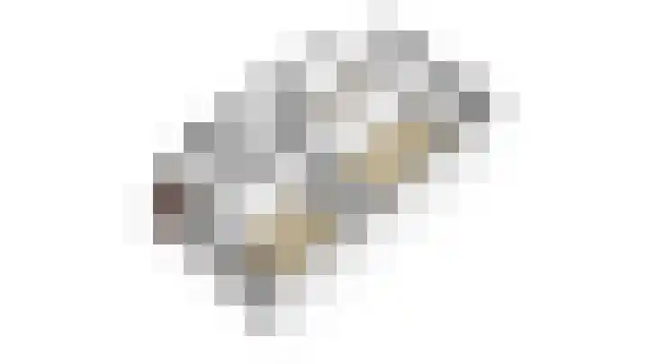 Lijsterbeshof 1 Papendrecht thumbnail 59