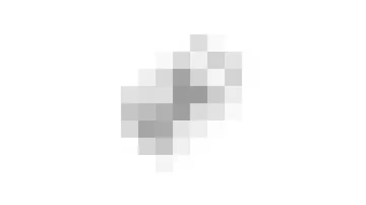 Lijsterbeshof 1 Papendrecht thumbnail 62
