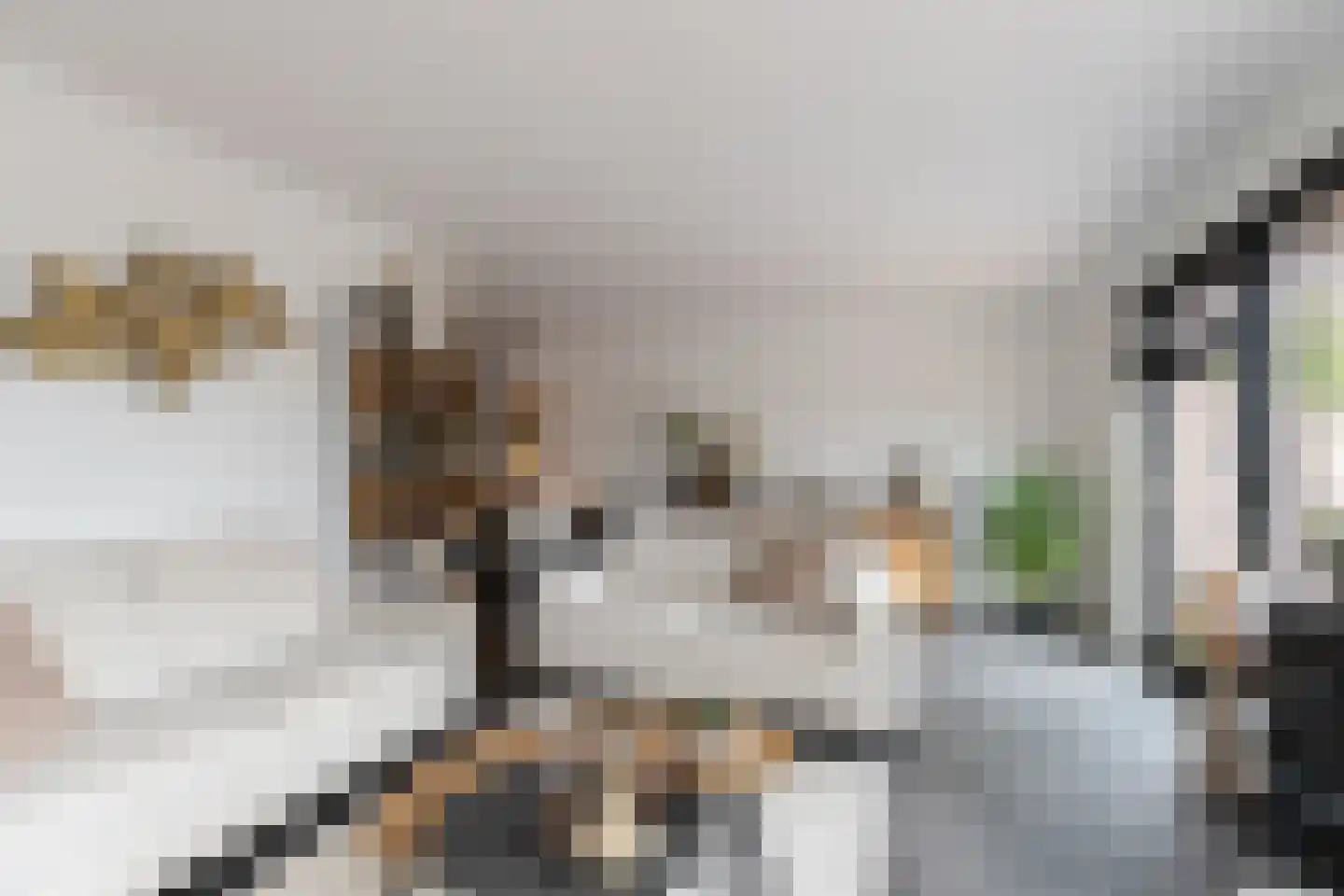 Lijsterbeshof 10 Papendrecht thumbnail 11