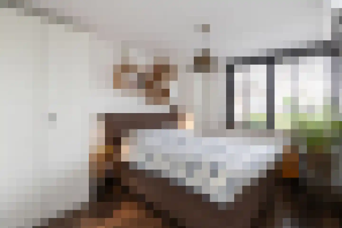 Lijsterbeshof 10 Papendrecht thumbnail 18