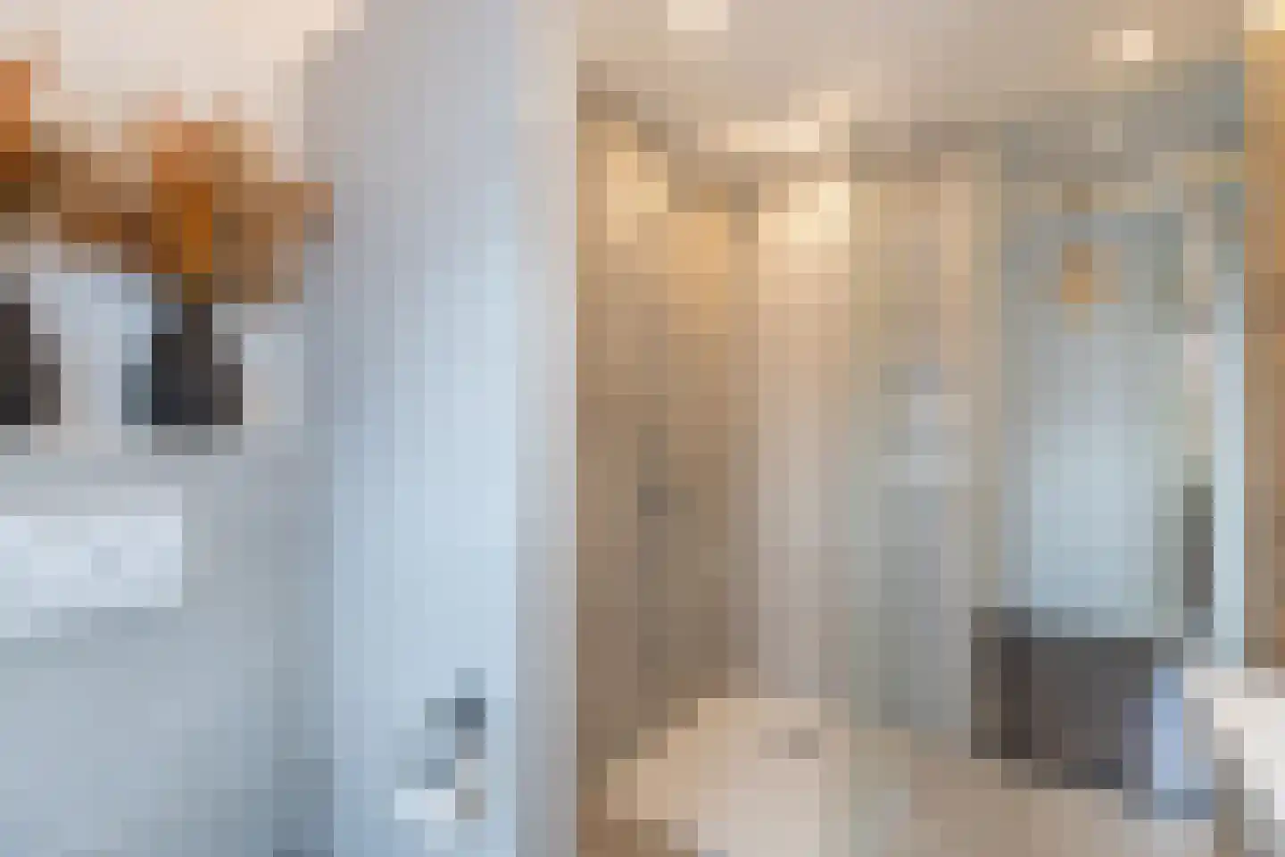 Lijsterbeshof 10 Papendrecht thumbnail 24