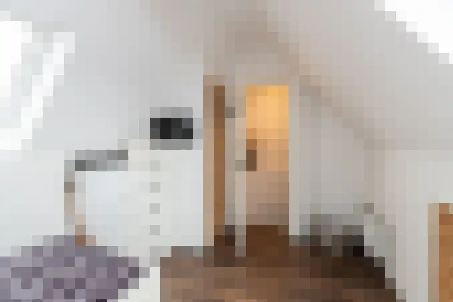 Lijsterbeshof 10 Papendrecht thumbnail 27