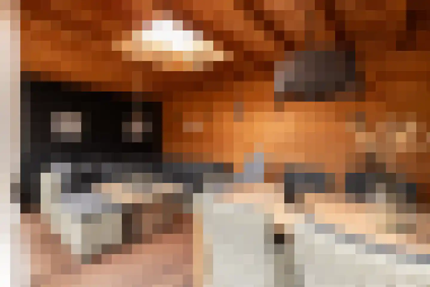 Lijsterbeshof 10 Papendrecht thumbnail 30