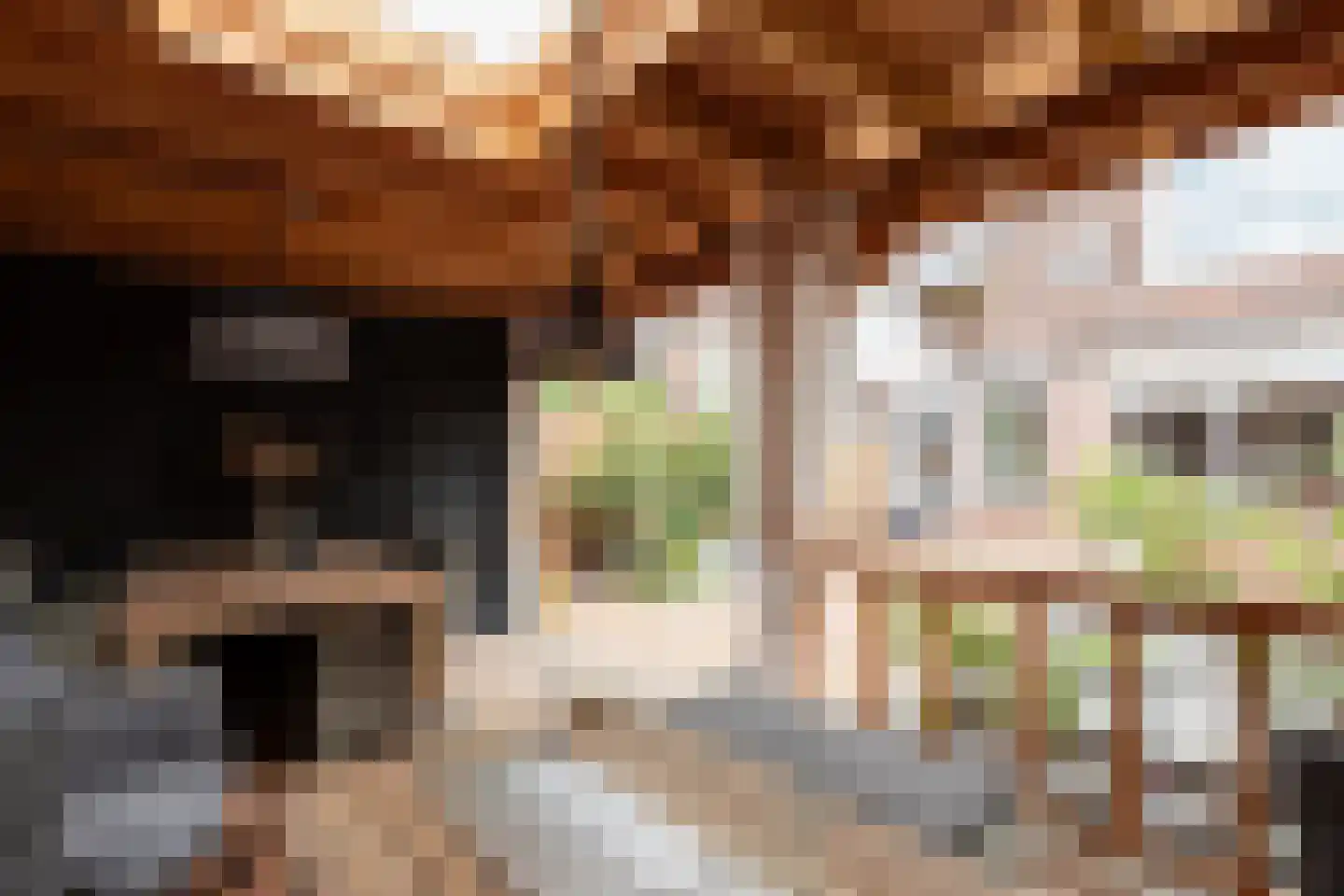 Lijsterbeshof 10 Papendrecht thumbnail 32