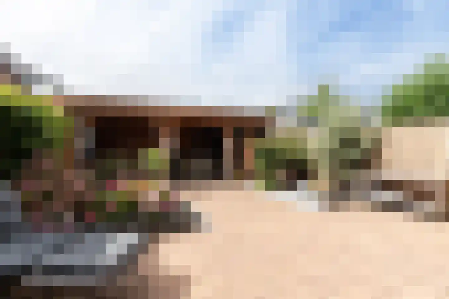 Lijsterbeshof 10 Papendrecht thumbnail 4