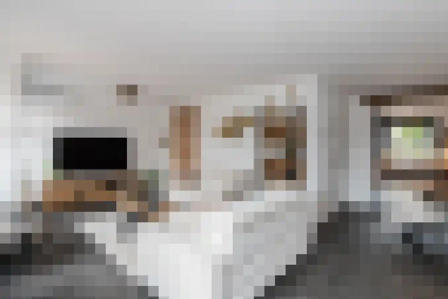 Lijsterbeshof 10 Papendrecht thumbnail 7