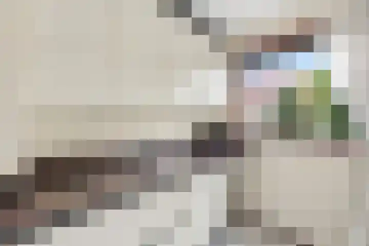 Lijsterbeshof 22 Papendrecht thumbnail 21