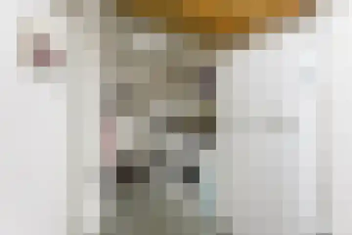 Lijsterbeshof 22 Papendrecht thumbnail 23