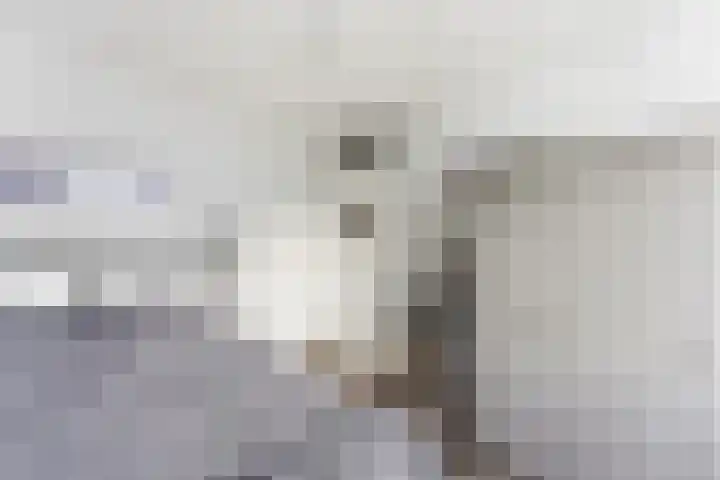Lijsterbeshof 22 Papendrecht thumbnail 26