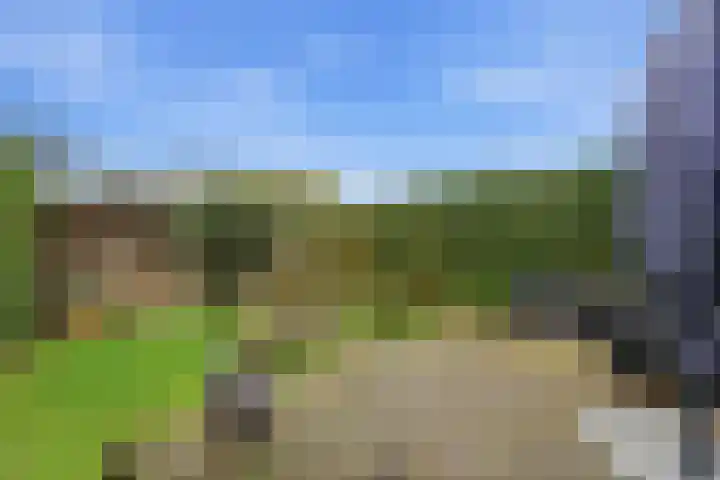 Lijsterbeshof 22 Papendrecht thumbnail 40