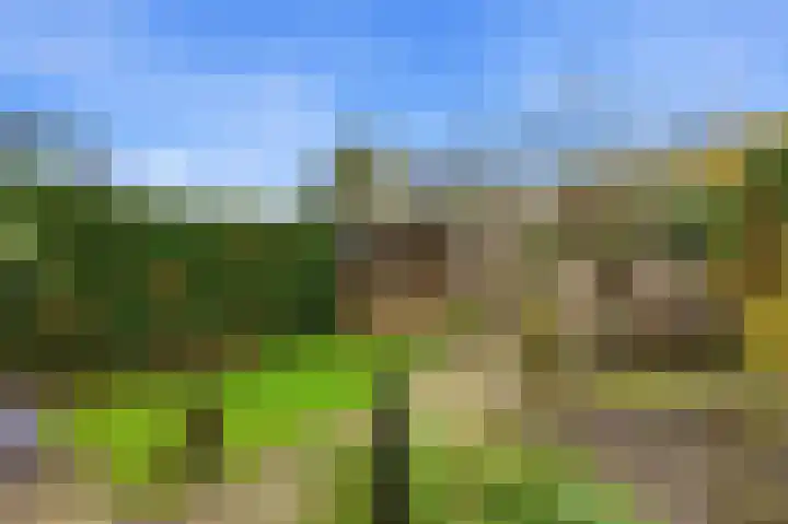 Lijsterbeshof 22 Papendrecht thumbnail 43