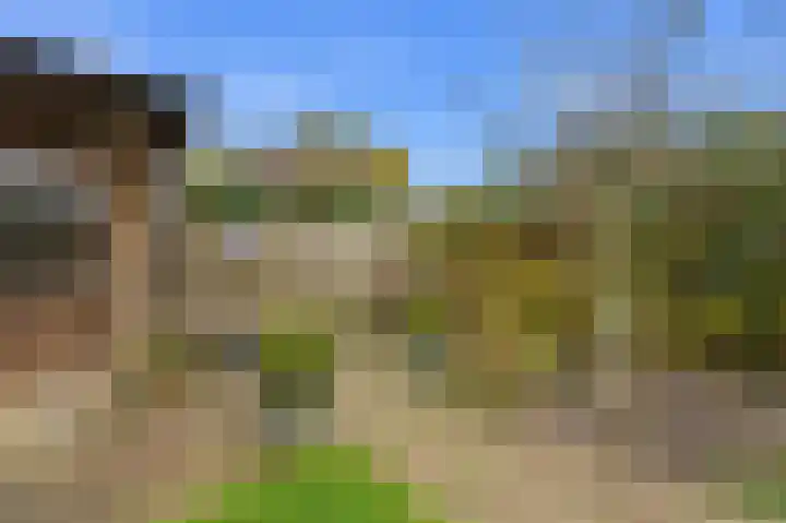 Lijsterbeshof 22 Papendrecht thumbnail 44