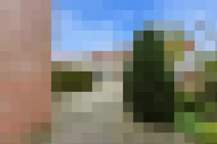 Lijsterbeshof 22 Papendrecht thumbnail 49