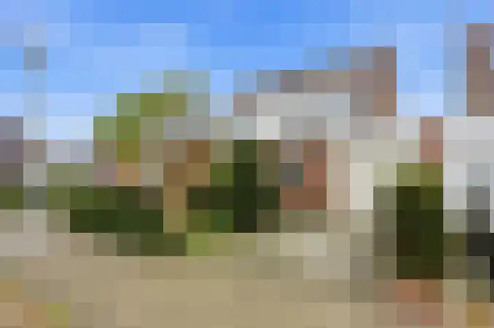 Lijsterbeshof 22 Papendrecht thumbnail 50