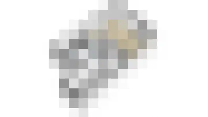 Lijsterbeshof 22 Papendrecht thumbnail 52