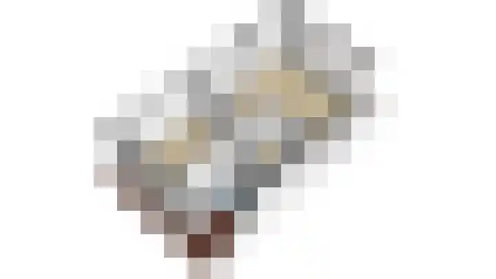 Lijsterbeshof 22 Papendrecht thumbnail 54