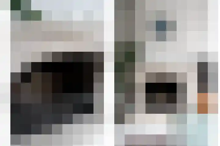 Lijsterbeshof 22 Papendrecht thumbnail 6