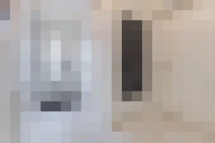 Lijsterbeshof 34 Papendrecht thumbnail 10