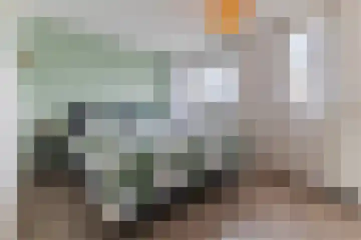 Lijsterbeshof 34 Papendrecht thumbnail 14