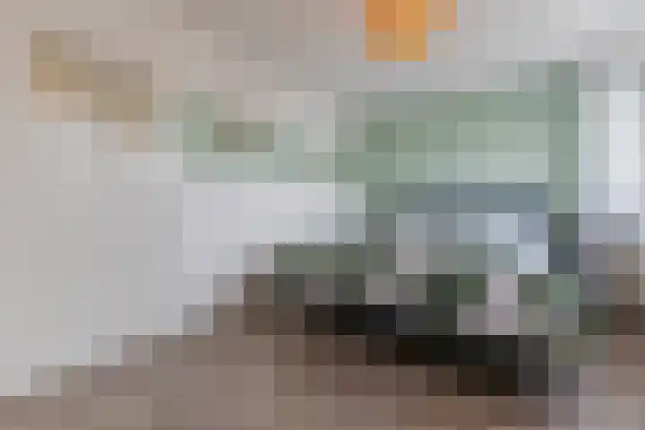 Lijsterbeshof 34 Papendrecht thumbnail 17