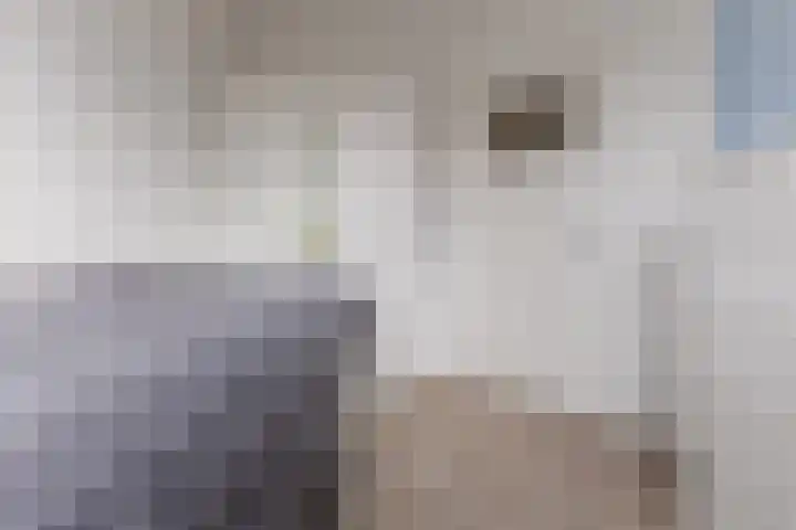 Lijsterbeshof 34 Papendrecht thumbnail 19