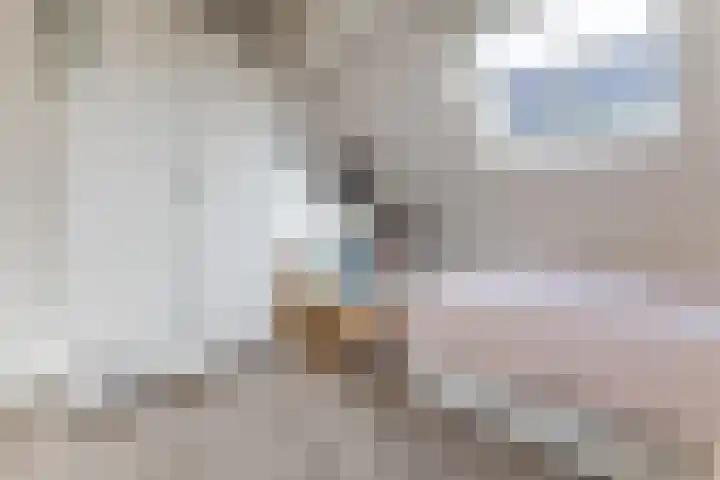Lijsterbeshof 34 Papendrecht thumbnail 21