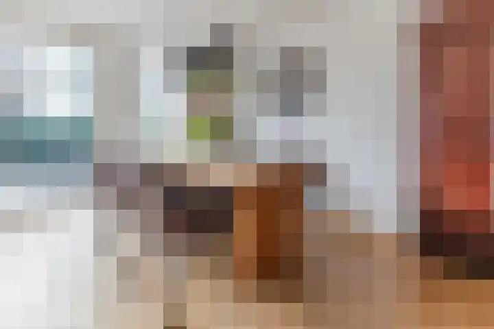 Lijsterbeshof 34 Papendrecht thumbnail 5