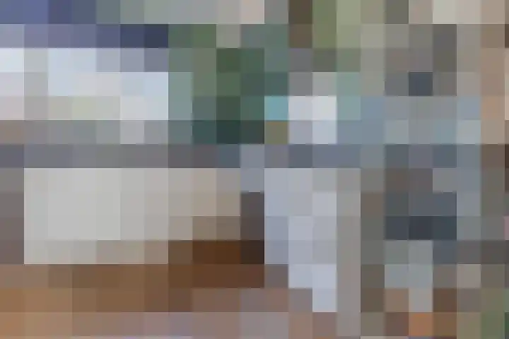 Lijsterbeshof 34 Papendrecht thumbnail 9
