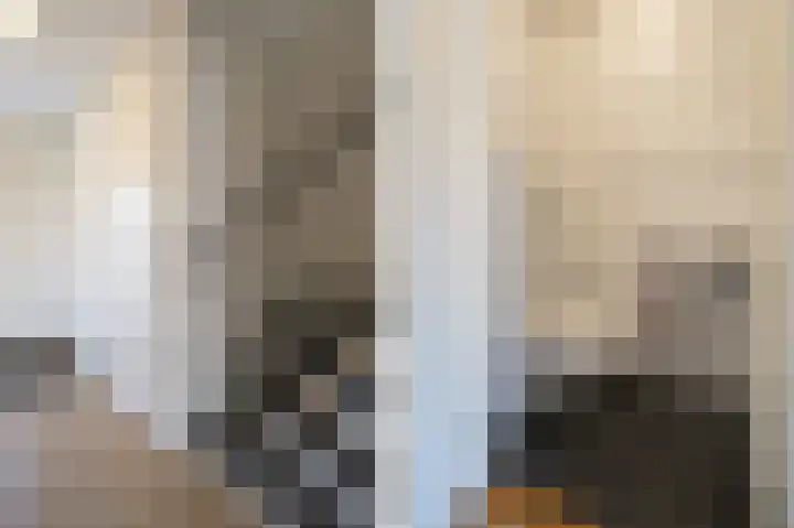 Lijsterbeshof 65 Papendrecht thumbnail 13