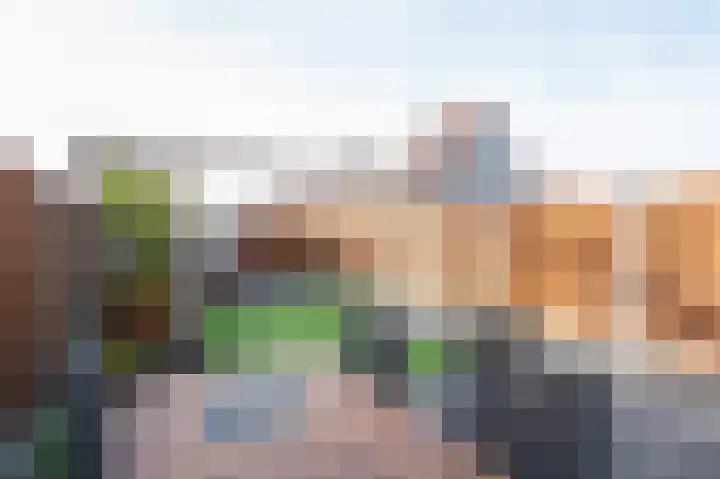 Lijsterbeshof 65 Papendrecht thumbnail 30