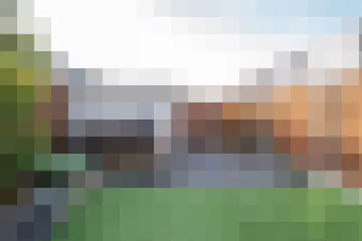 Lijsterbeshof 65 Papendrecht thumbnail 31