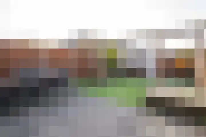 Lijsterbeshof 65 Papendrecht thumbnail 4