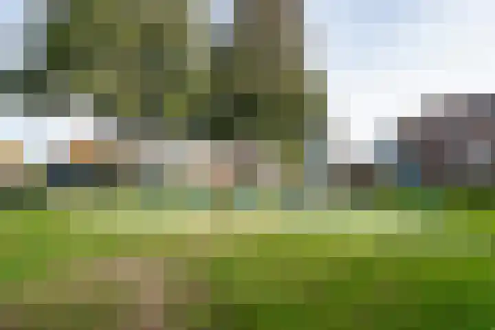 Lijsterbeshof 65 Papendrecht thumbnail 6